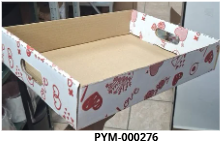 [PYM-000276] PYM-000276 BANDEJA ESPECIAL 40X30CM