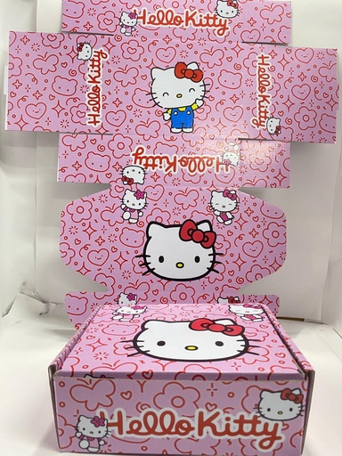 [RT-033] CAJA CORRUGADA DE PERSONAJES HELLO KITTY